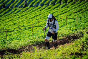 BIB: 
                            <button type="button" onclick="openModal(19160374)" class="btn btn-primary btn-sm float-right btn-popup" data-toggle="modal" data-target=".modal-high-quality">
                        <i class="fas fa-shopping-cart"></i> Add to Cart
                    </button>
                                            <button type="button" onclick="isThisMe(19160374, true)" class="btn btn-success btn-sm float-right btn-popup btn-isme hidden" data-toggle="tooltip" data-placement="bottom" title="นี่คือรูปของคุณใช่ไหม คลิกที่นี่เพื่อเอาเข้าอัลบั้ม">
                        <i class="fas fa-plus"></i> Add to album
                    </button>
                    <button type="button" onclick="isThisMe(19160374, false)" class="btn btn-warning btn-sm float-right btn-popup btn-isnotme hidden">
                        <i class="fas fa-ban"></i> Remove from album
                    </button>